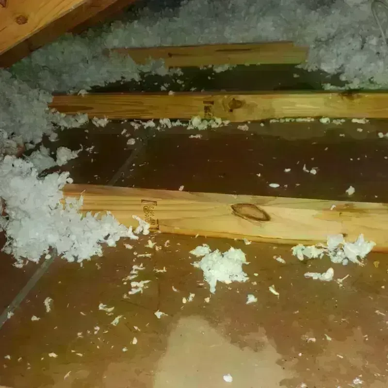 Attic Water Damage in Saint Ignace, MI