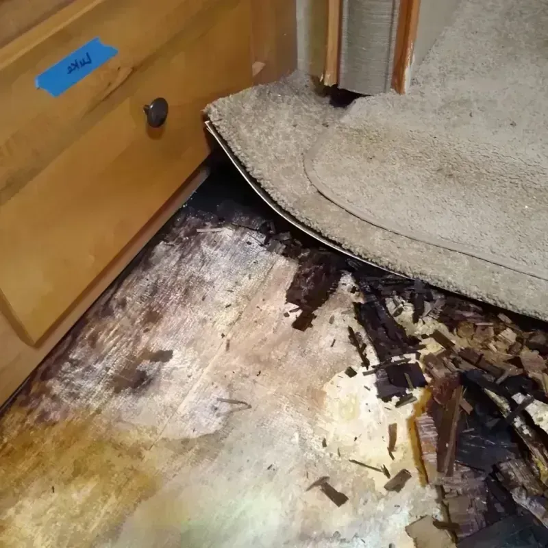 Wood Floor Water Damage in Saint Ignace, MI